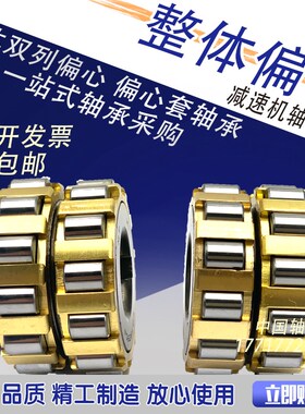 偏心轴承 RN205 RN206 RN307 RN309 204 312 219 222 228 M减速机
