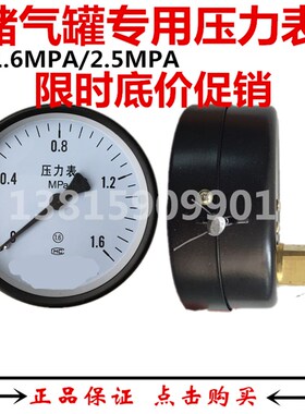 8公斤空压机开山申江龙申泰储气罐压力表Y100Z0-1.6mpa不锈钢耐震