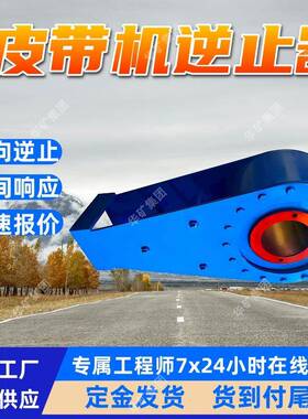 供应皮带输送机用逆止器倒转距离小NYD160皮带输送机用逆止器