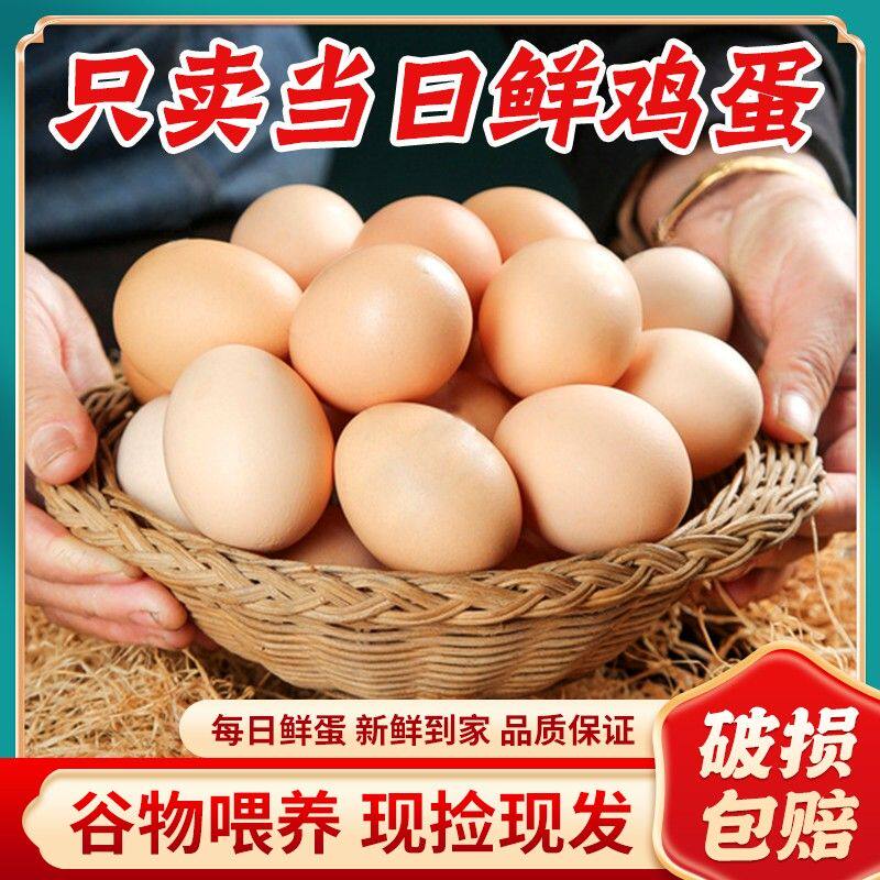 顺丰送货上门孙加强自己散养的土鸡蛋笨鸡蛋农家新鲜纯农村草鸡蛋