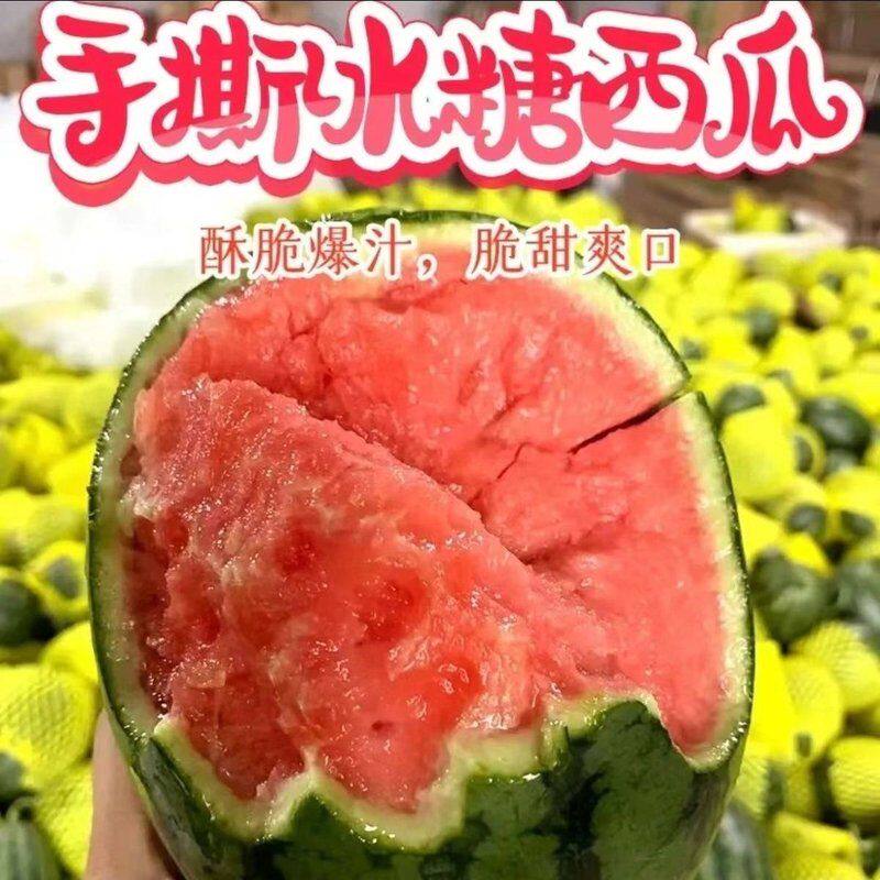 【】新鲜2K糖丸小西瓜新鲜水果网红小吊瓜薄皮红壤脆甜吊瓜