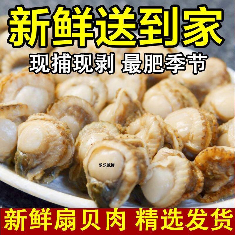 【顺丰】到手40-60特大扇贝肉干净无沙新鲜冷冻