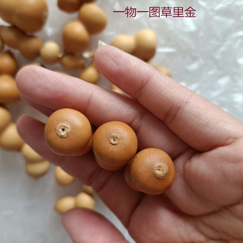 精品天然草里金i小葫芦手捻把玩收藏DIY小挂件铁包金3厘米