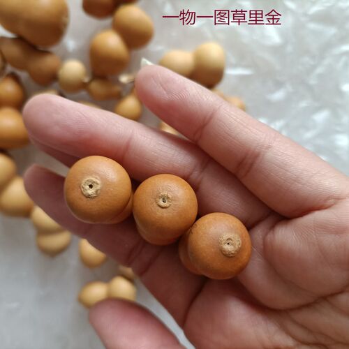 精品天然草里金i小葫芦手捻把玩收藏DIY小挂件铁包金3厘米
