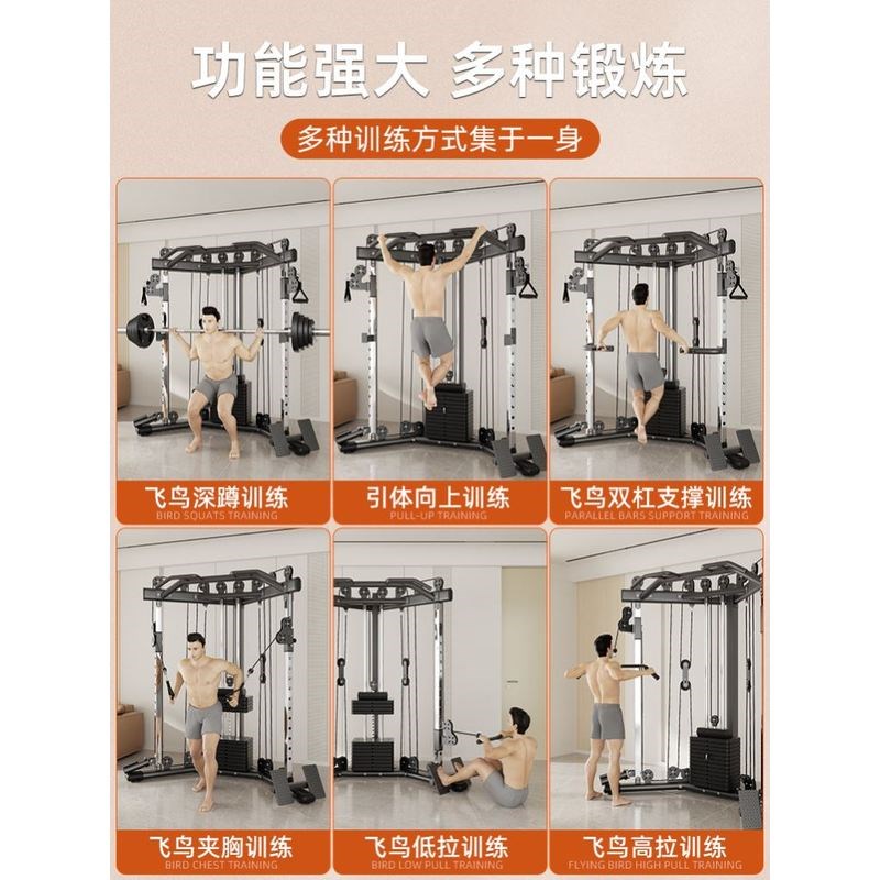 小飞鸟龙门架健身家用高位下拉器材家庭多功能一体机综合训练器械