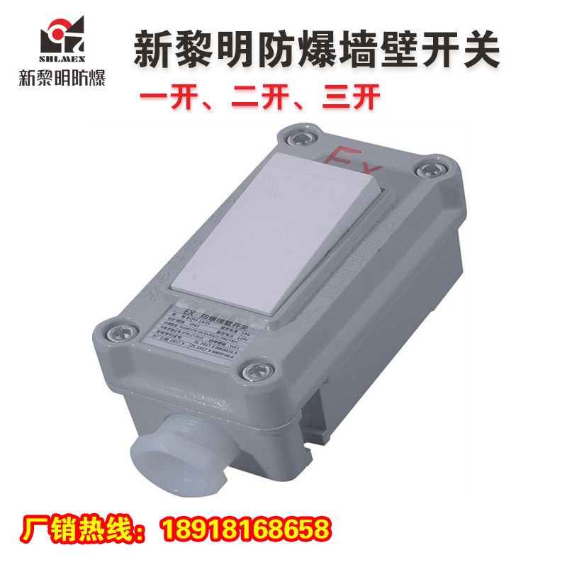 防爆墙壁照明开关 BQM-K1 一开单联 上海新黎明国标厂家直销