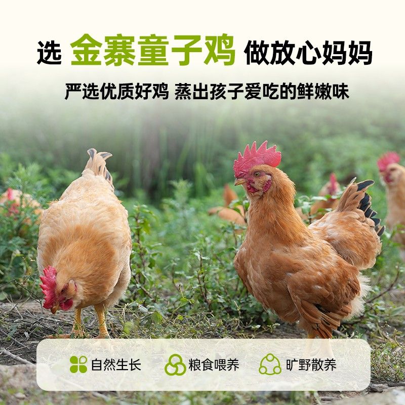 【金寨童子鸡2只】正宗童子鸡送10枚鸡蛋鸡肉白切鸡椰子散养跑山