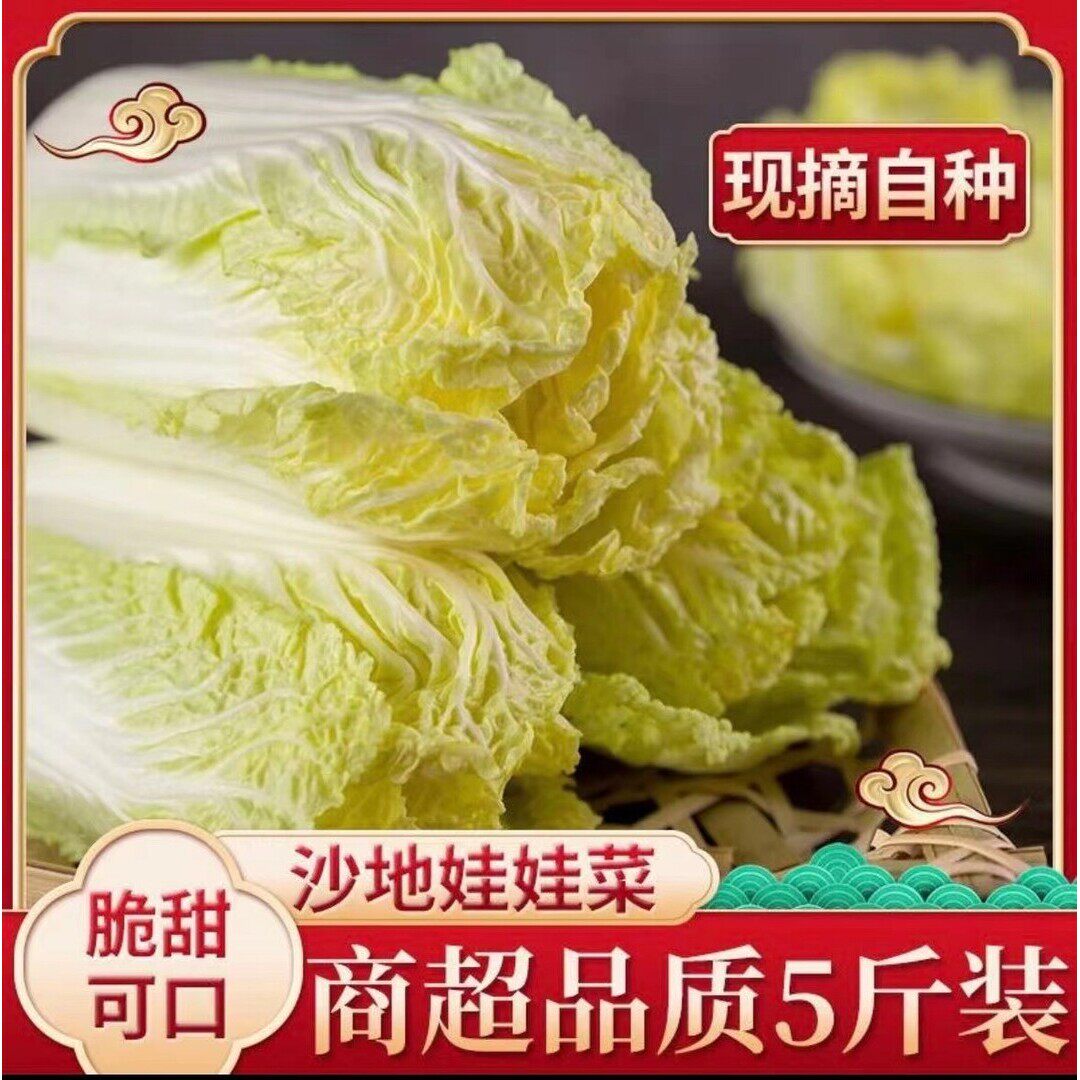 农家自种黄心娃娃菜清甜可口脆嫩爽口新鲜时令蔬菜火锅涮菜软糯