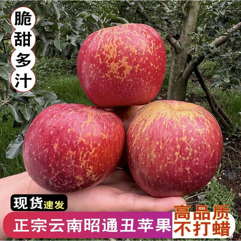 云南昭通丑苹果脆甜多汁高山水果好吃红富士产地直发整箱包邮5斤