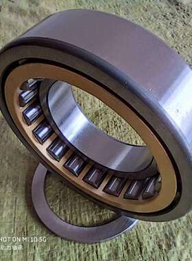 IAN 德国进口轴承 NF216 NF217 NF218 NF219 NF220 NF221 NF222EM