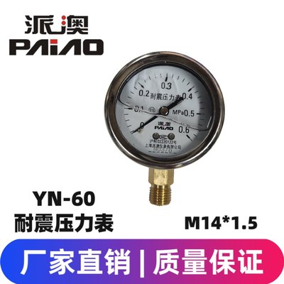 定制派澳仪表YN60 YN100 YN150耐震压力表不锈钢油压表轴向带边