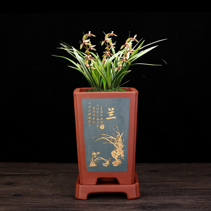 精品紫砂兰花专用盆手工桌面室内君子兰四方古典陶瓷兰草盆景花盆