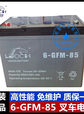 6EVF60 80 85 100理士电瓶叉车3EVF200胶体免维护蓄电池小金刚12V