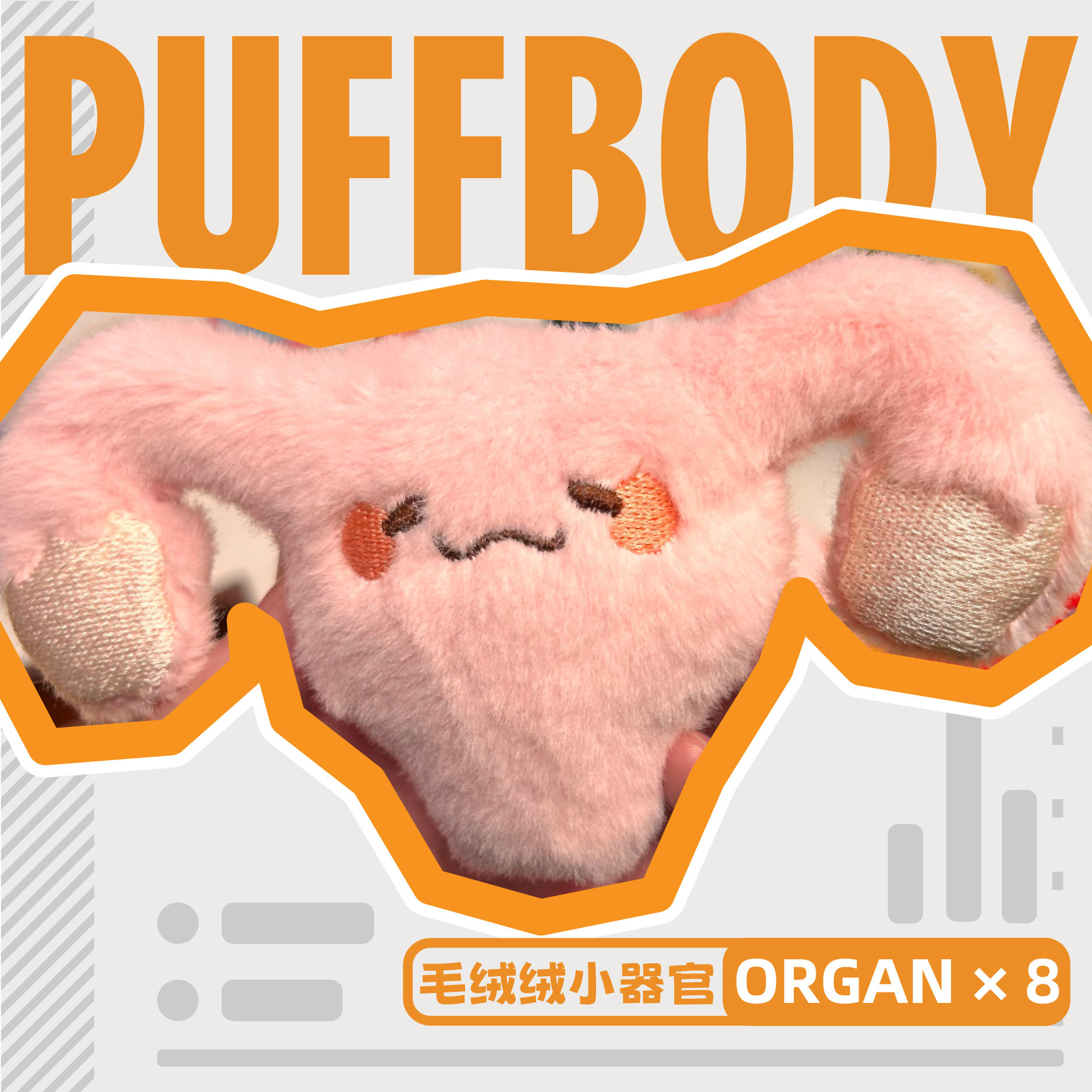 【丰晖生物】毛绒挂件