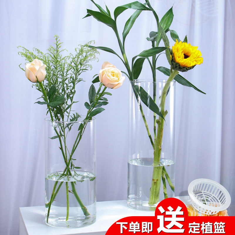 玻璃花瓶客厅水养插花瓶富贵竹水培简约大号透明鲜花瓶圆柱形摆件