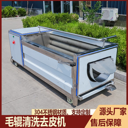 全自动商用毛辊去皮机土豆红薯萝卜莲藕生姜生蚝猪蹄脱皮机清洗机