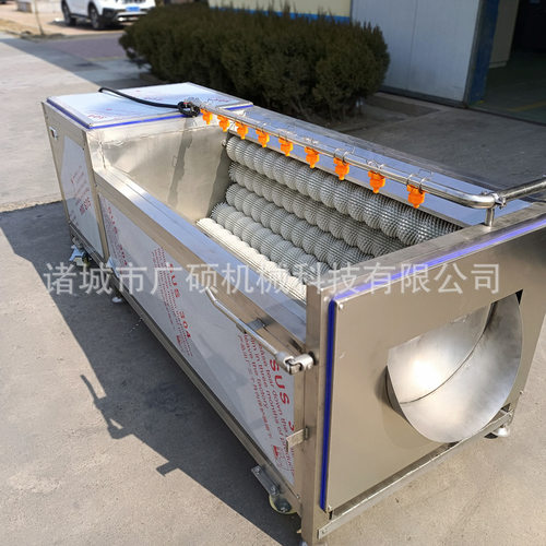 厂家现货土豆去皮机 瓜果蔬菜毛辊清洗机 芸豆毛刷清洗流水线设备