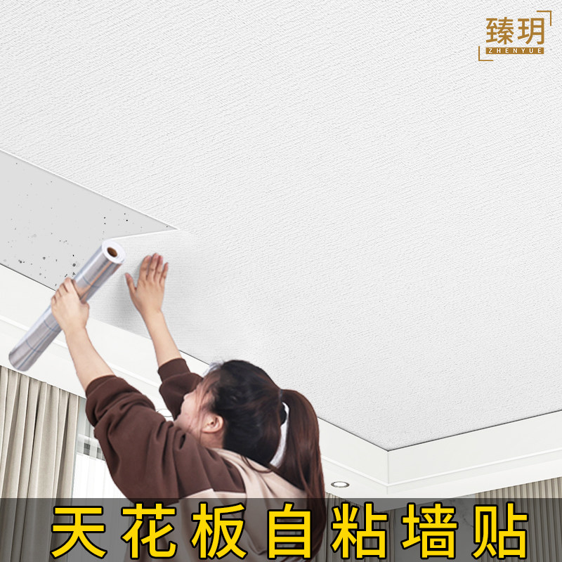 天花板贴纸自粘h墙纸防水防潮壁纸屋顶部吊顶材料自装房顶遮丑神