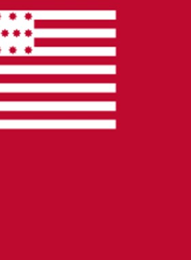 包邮定制 美国历史旗帜 Brandywine flag 90*150cm 3*5ft