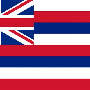 包邮定制美国夏威夷州旗帜 90 x 150 CM,3*5FT Hawaii  Flag