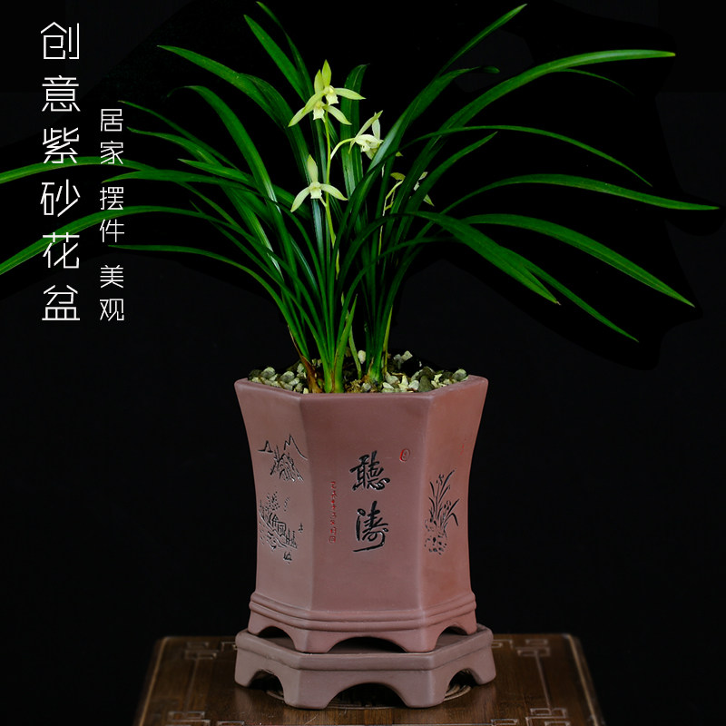 古典紫砂花盆君子兰盆景兰花盆栽透气花盆陶瓷大号盆老庄特大盆栽