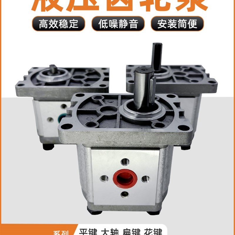 齿轮液压油泵总成CBT-F310 CBN-F304/F306/F316/E314/320/325FER2