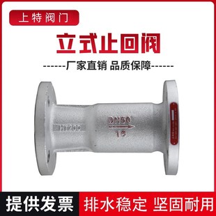 H41S-16铸铁卧立式锅炉单向阀高温止回阀DN25 32 40 50 65 80 100