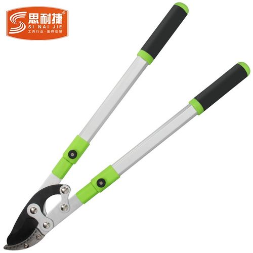 思耐捷强力粗枝剪果树修剪树枝剪刀园艺修枝剪大力剪省力园林剪刀