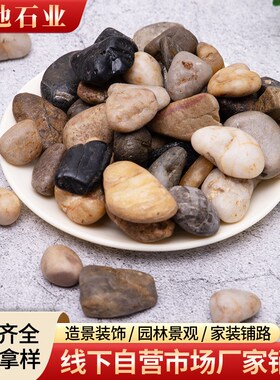 鹅卵石铺路造景雨花石庭院装饰抛光五彩石花盆鱼缸U水池垫底雨花