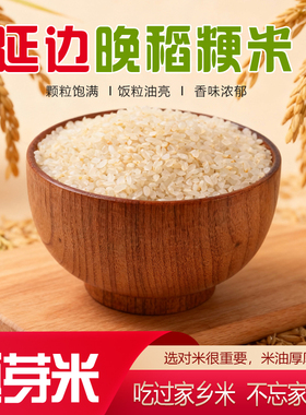 胚芽米2025年新大米延边晚稻粳米留胚吉宏6号延边小粒香东北大米