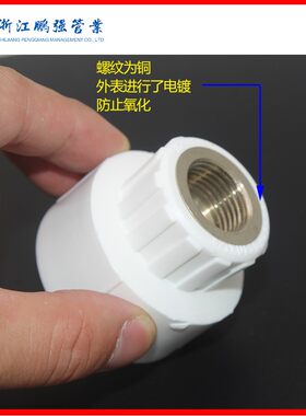 白色PPR水管内丝直接4分20 6分25 1寸32 ppr内牙直通配件水管管件