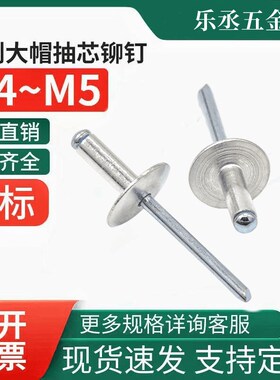 大帽拉铆钉半圆头拉抽芯铝合金拉铆钉丁加大盖厂家大边大帽沿