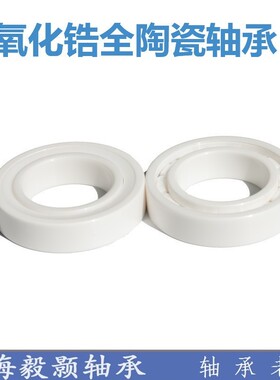 耐腐蚀耐寒氧化锆全陶瓷轴承6006 6007 6008 6009 6010 6011CE