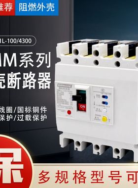 NM1 RMM1LE-225A 100A 160A 250A400A塑壳断路器三相四线漏电开关
