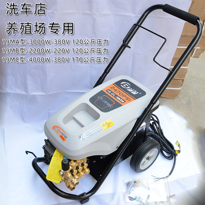 绿霸16MB C19BG高压洗车机全自动清洗机商用220V刷车泵大功率380V