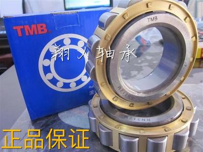TMB减速机轴承RN205M RN206 RN307 RN309 RN312 RN219ECM偏心轴承