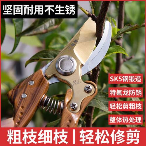 台湾进口果枝剪园林剪刀果树修枝剪SK5剪树枝专用剪子园林粗枝剪