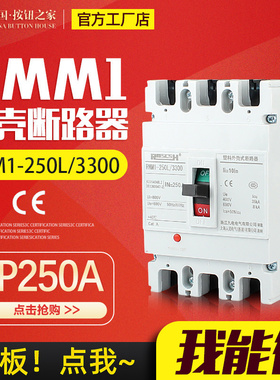 RMM1-250L三相三/塑料外壳式断路器CDM/NM/CM1塑壳3/4P S A H