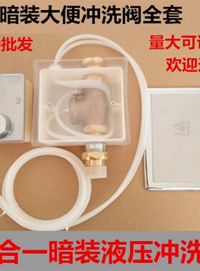 六合一脚踏大便冲洗阀 大小便冲水阀 暗装加长入墙冲水器 脚踩阀
