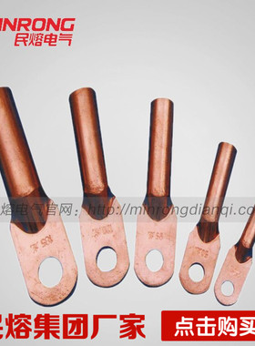 DT-20 DL-30 DT-40 DT-50 DT-60 DT-70 DT-80 90铜接线端子堵油