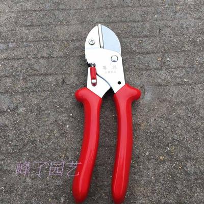 台湾翠筠31A号剪刀 #609采果剪(SK5园艺修枝剪/加强型摘果剪)