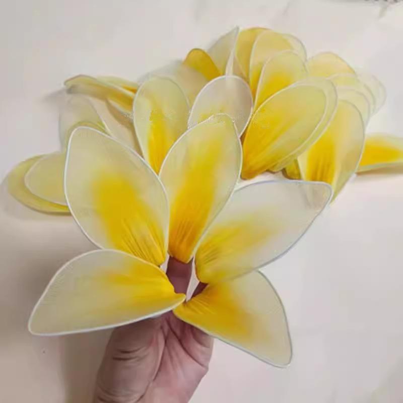 女子群舞玉兰花开手指花花瓣玉兰花花瓣舞蹈道具指间花瓣手拿花