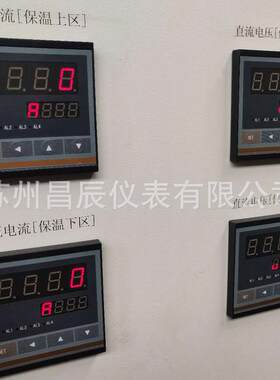 XSW-BT4B1MS1V0单通道数显表 多功能电子式LED数字显示报警仪