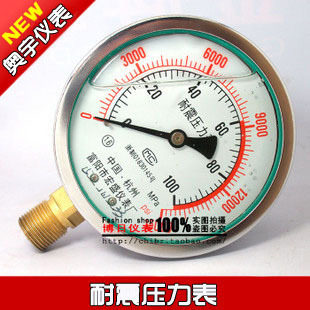 YTN-100(YN-100) 0-100Mpa 耐震压力表 特种高压表(宏盛仪表)