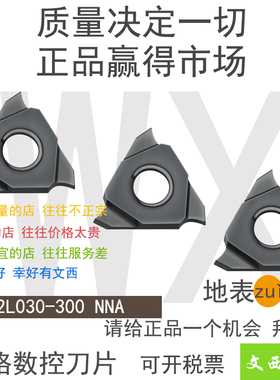 TIGER/泰格 TGF32L030-200 100 110 200 250 150 NNA立装式槽刀片