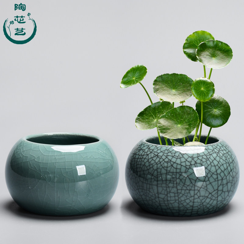 铜钱草水培无孔小花盆陶瓷哥窑水养睡莲碗莲盆缸大号家用瓷器清仓