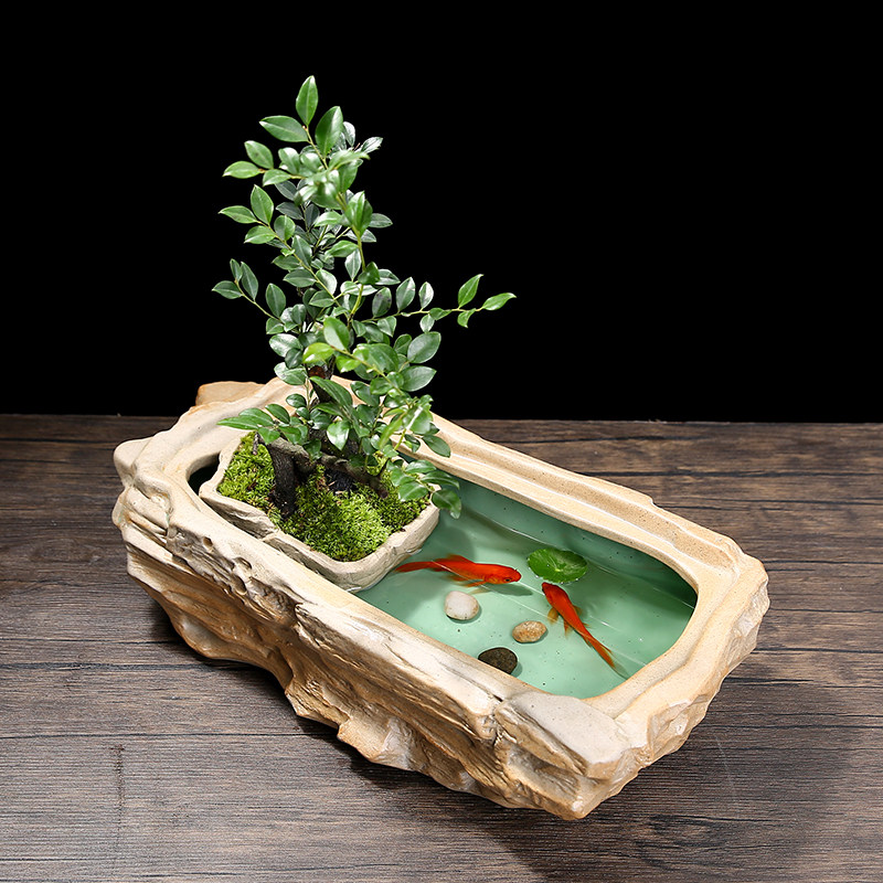 创意绿萝铜钱草水培植物花盆陶瓷室内客厅摆件水养器皿大号金鱼缸