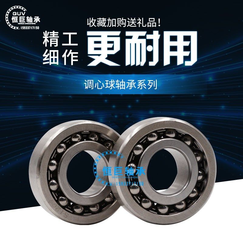 哈尔滨进口轴承 1318 1319 1320 1322 1324 K