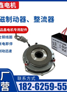 电磁制动器99/170V整流器刹车片断电DZS1抱闸电机失电制动器总成