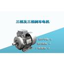 MA菲玛电机三相及三相刹车电机TSTHTPTBSTBHTBP系列